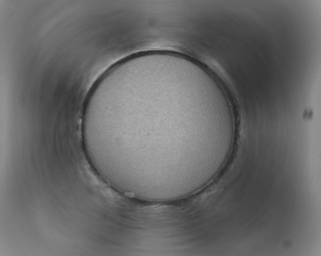 X0000112421268200909041404