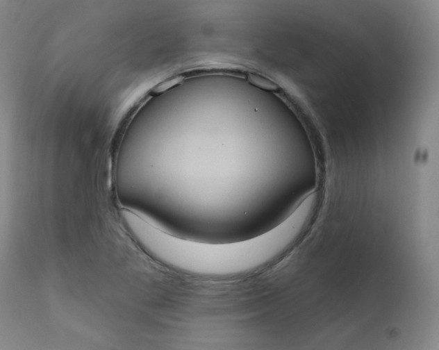 X0000112421269200909041404