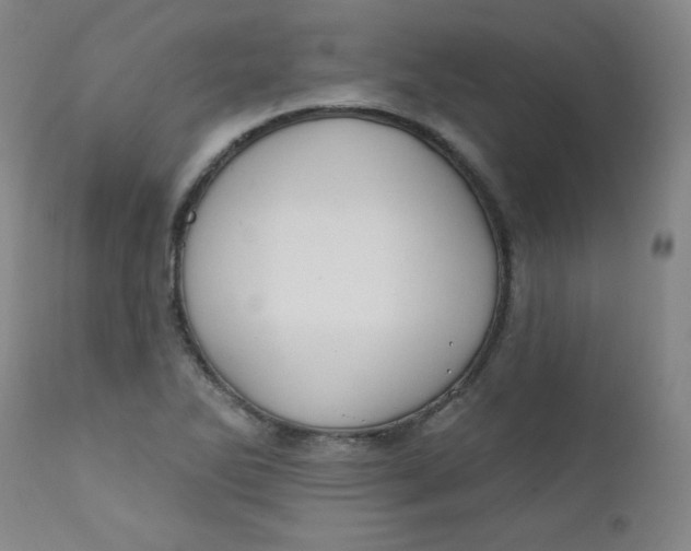 X0000112421270200909041404