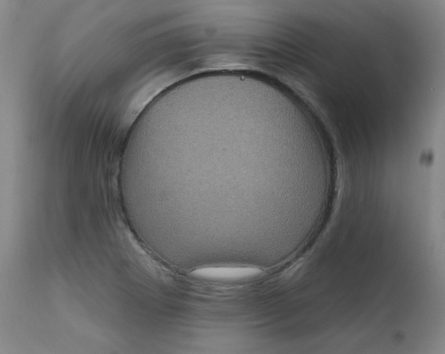 X0000112421273200909041404