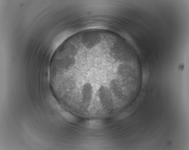 X0000112421274200909041404