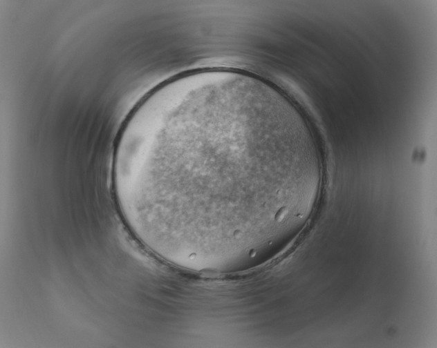 X0000112421276200909041404