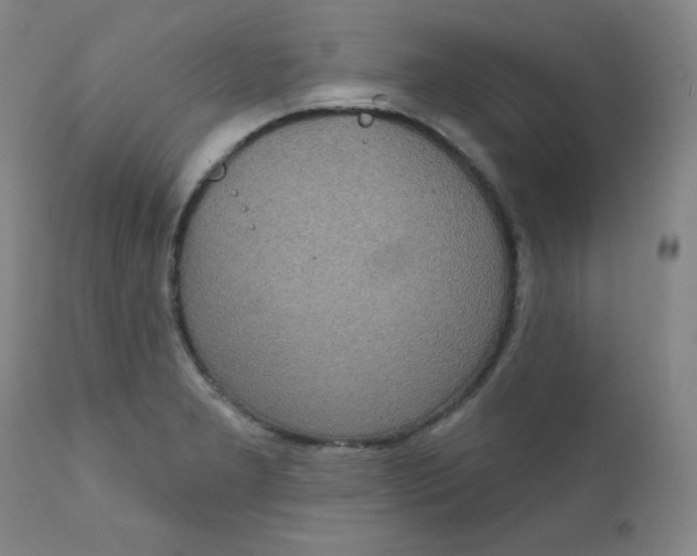 X0000112421277200909041404