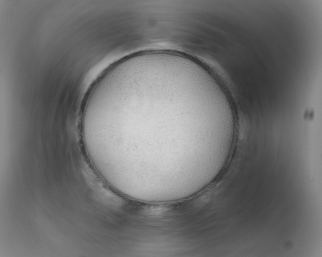 X0000112421278200909041404