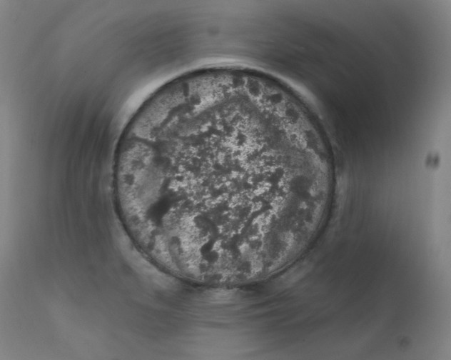 X0000112421279200909041404