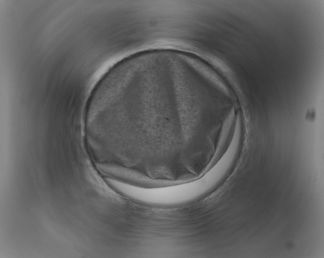 X0000112421280200909041404