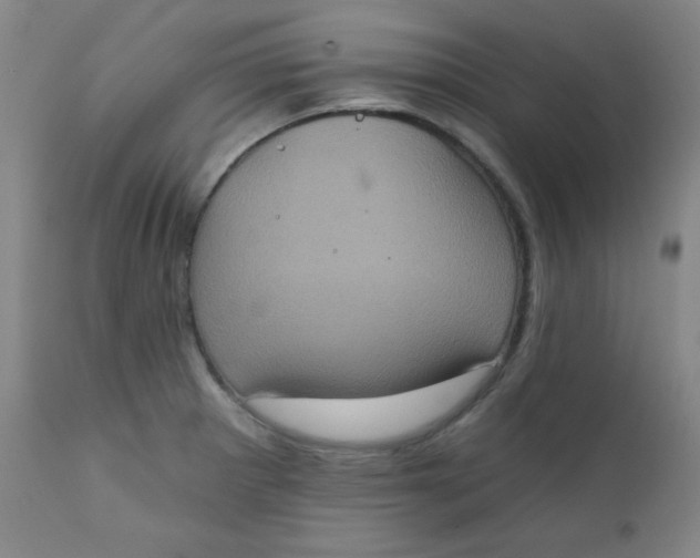 X0000112421281200909041404