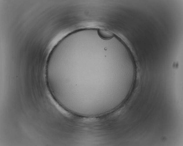 X0000112421285200909041404