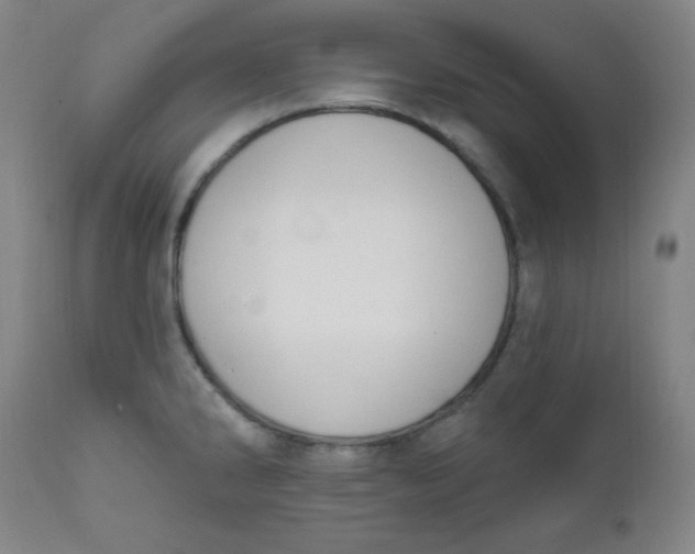 X0000112421286200909041404