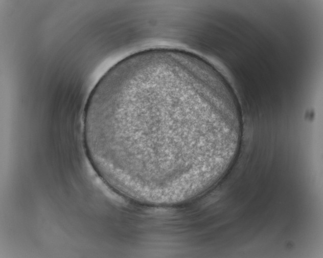 X0000112421287200909041404