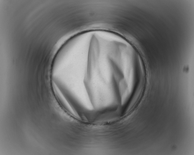 X0000112421288200909041404