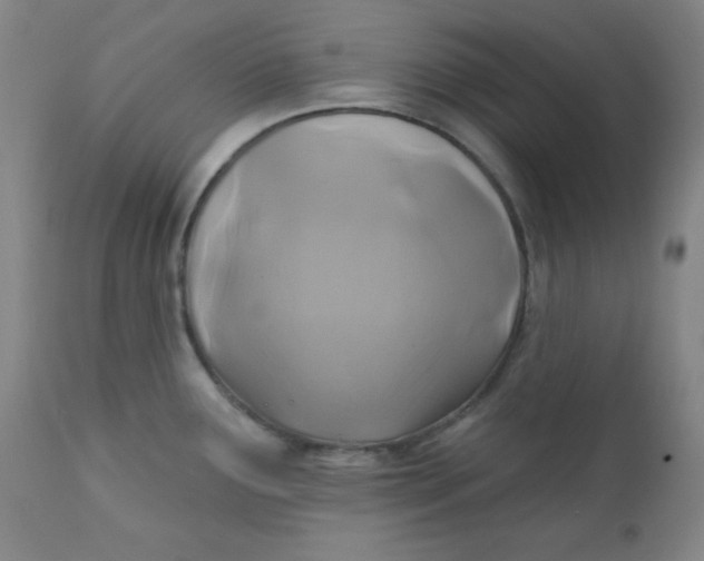 X0000112421291200909041403