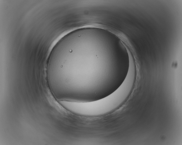 X0000112421292200909041403