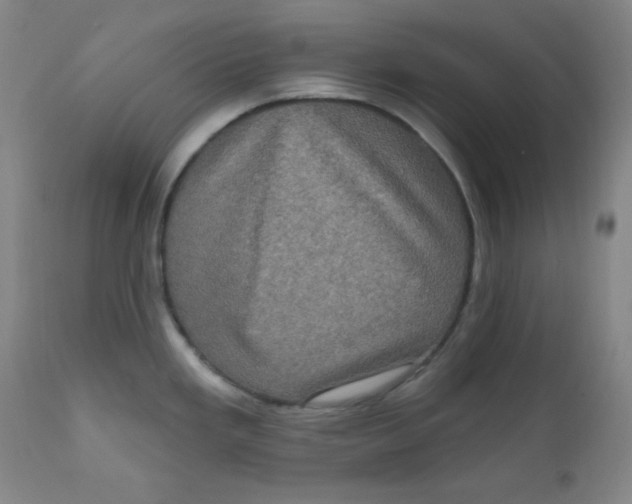 X0000112421293200909041403