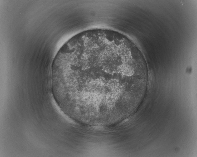 X0000112421295200909041403