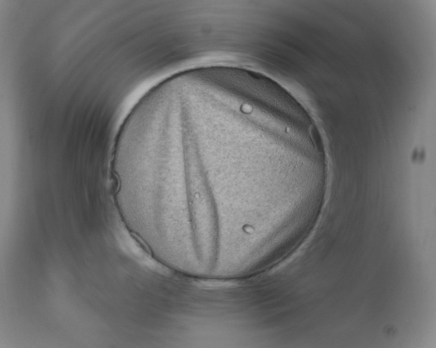 X0000112421296200909041403