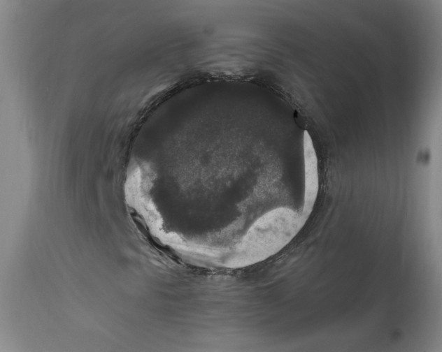 X0000112421297200909041403