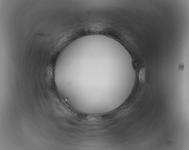 X0000112421299200909041403