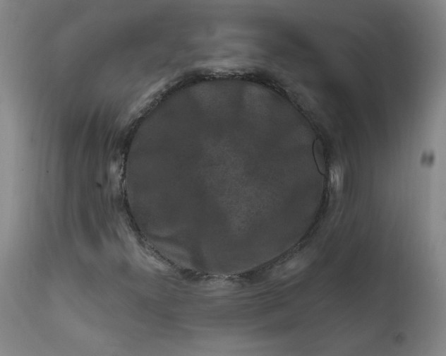 X0000112421300200909041403