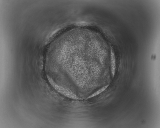 X0000112421301200909041403