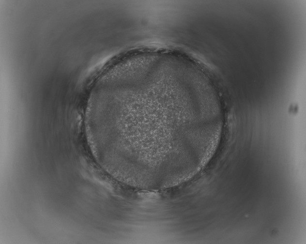 X0000112421302200909041403