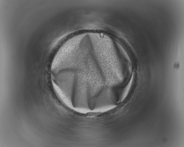 X0000112421304200909041403