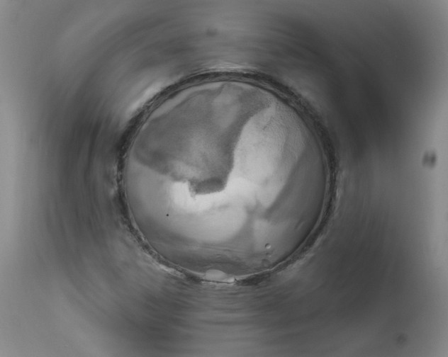 X0000112421306200909041403