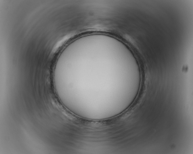 X0000112421307200909041403