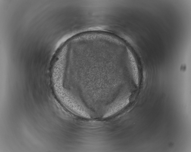 X0000112421308200909041403