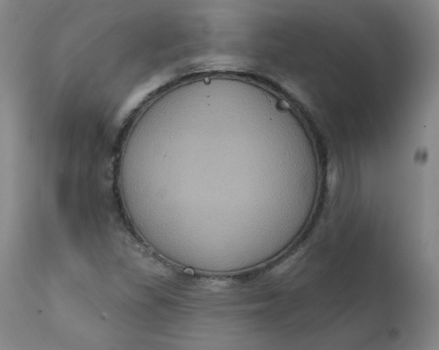 X0000112421309200909041403