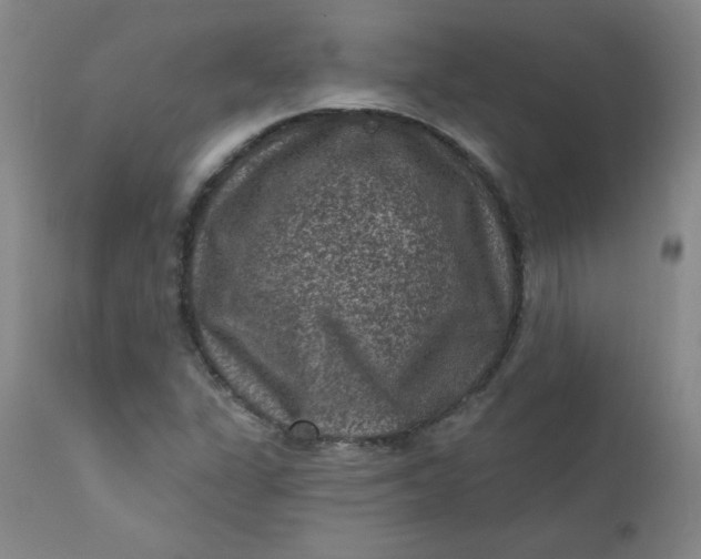 X0000112421311200909041403