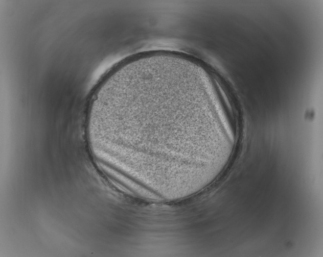 X0000112421312200909041403