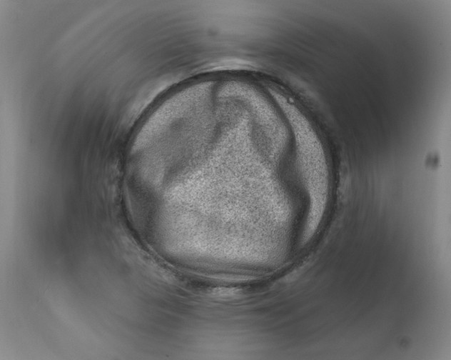 X0000112421313200909041403