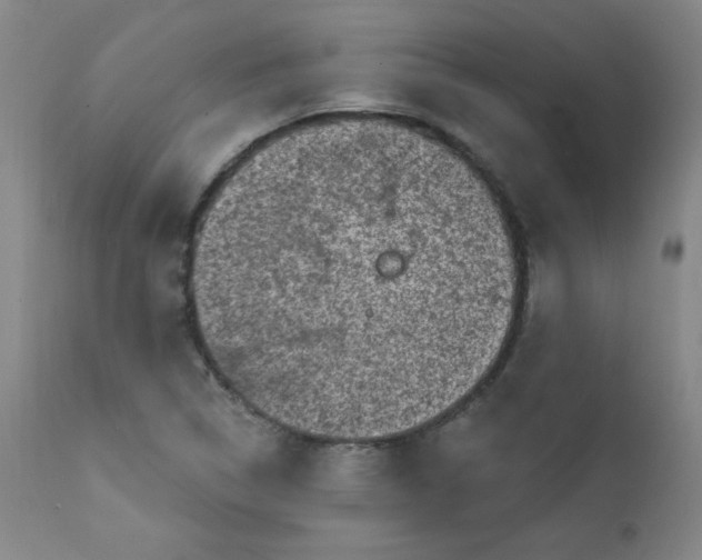 X0000112421314200909041403