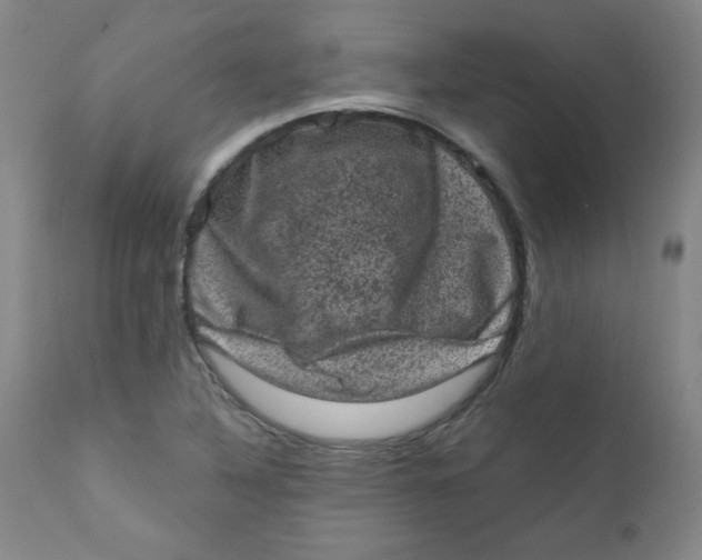 X0000112421316200909041403