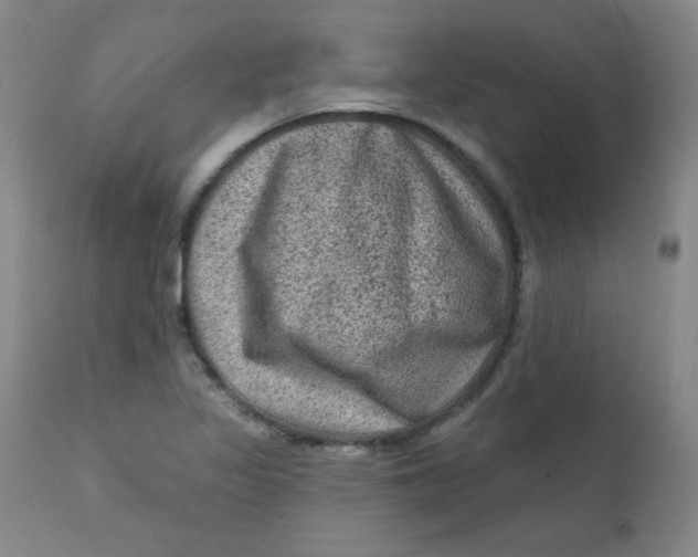 X0000112421317200909041403