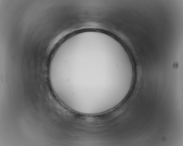 X0000112421318200909041403