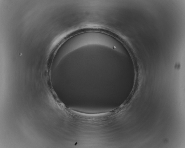 X0000112421319200909041403