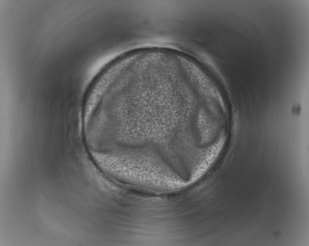 X0000112421320200909041403