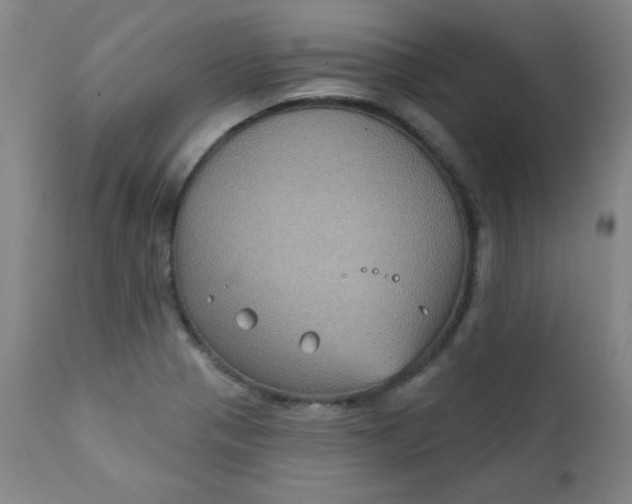 X0000112421321200909041403