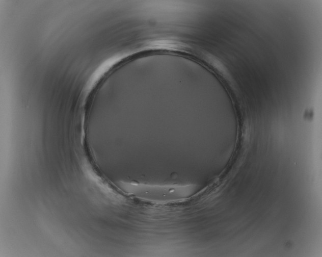 X0000112421323200909041403