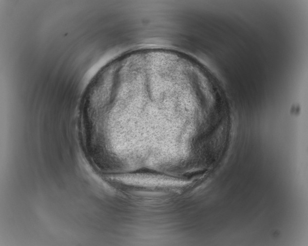 X0000112421325200909041403