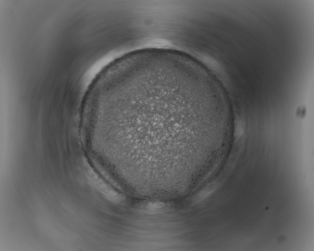 X0000112421326200909041403