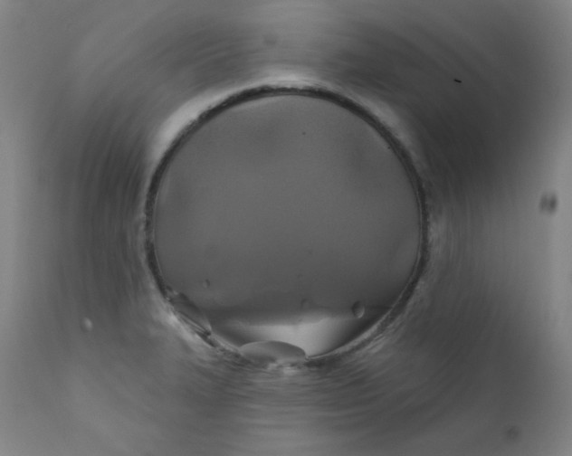 X0000112421327200909041403