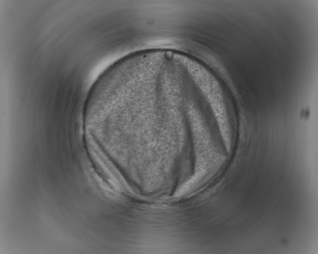 X0000112421328200909041403