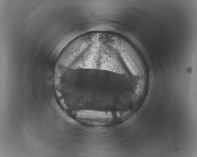 X0000112421329200909041403