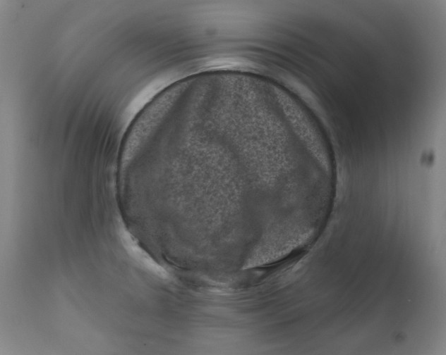 X0000112421330200909041403