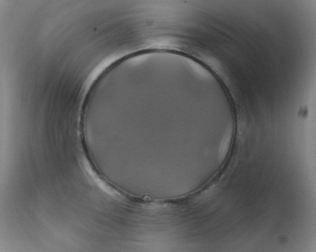 X0000112421331200909041403