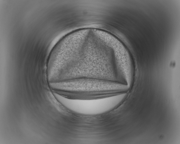 X0000112421332200909041403