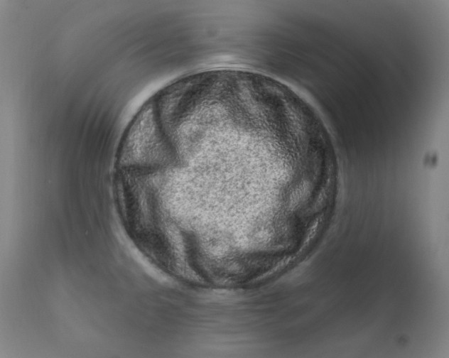 X0000112421333200909041403